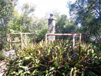 東白上遺跡の画像