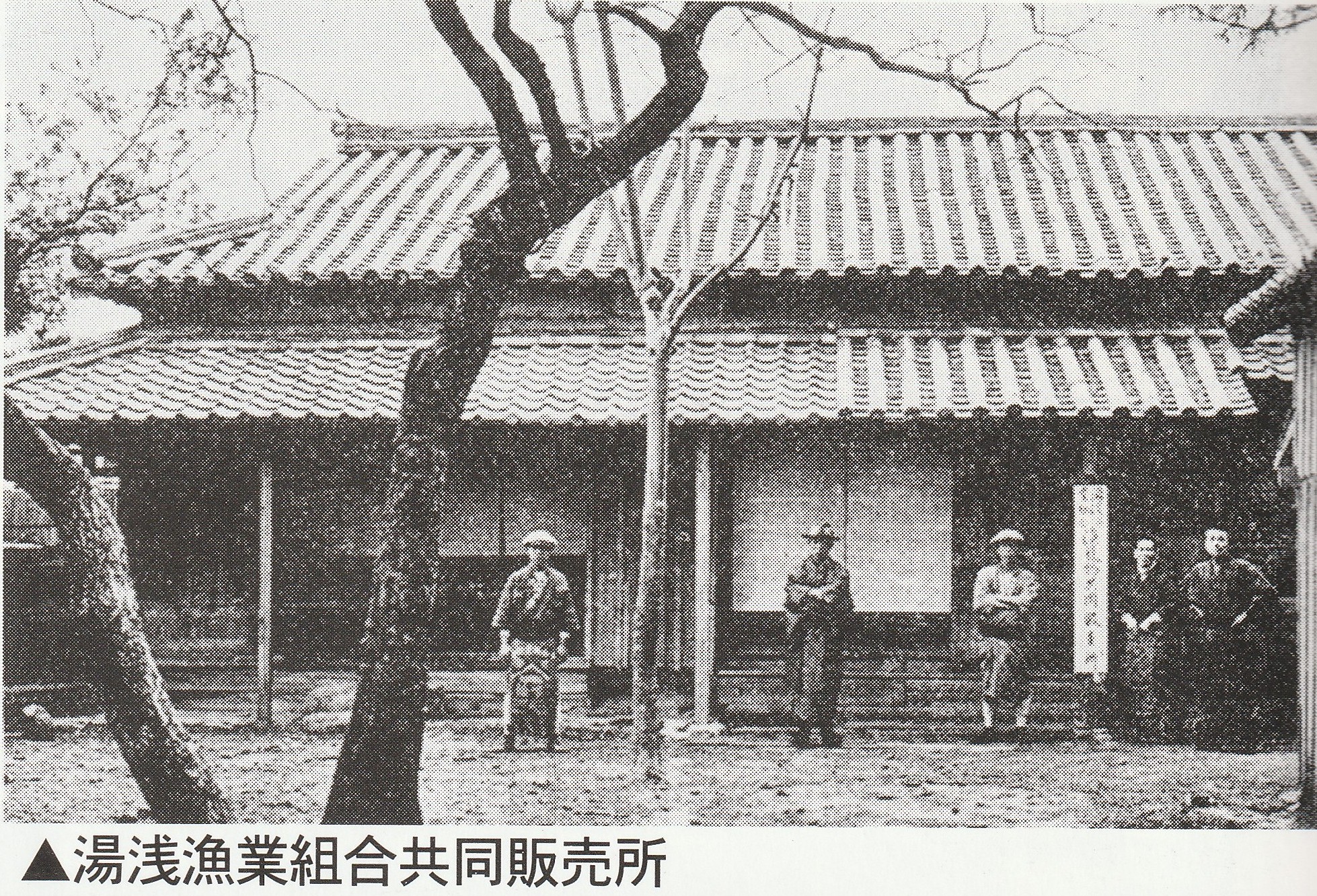 湯浅漁業組合共同販売所(モノクロ)