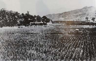 満願寺（モノクロ）